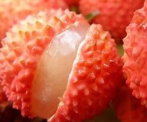 茄子视频懂你更多荔枝