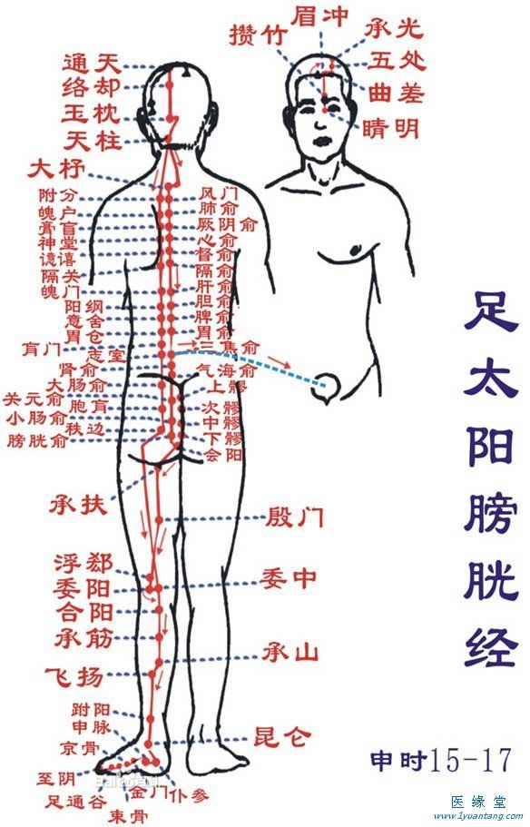 如何利用足太阳膀胱经“生命茄子视频懂你更多”提精神，增加健康指数
